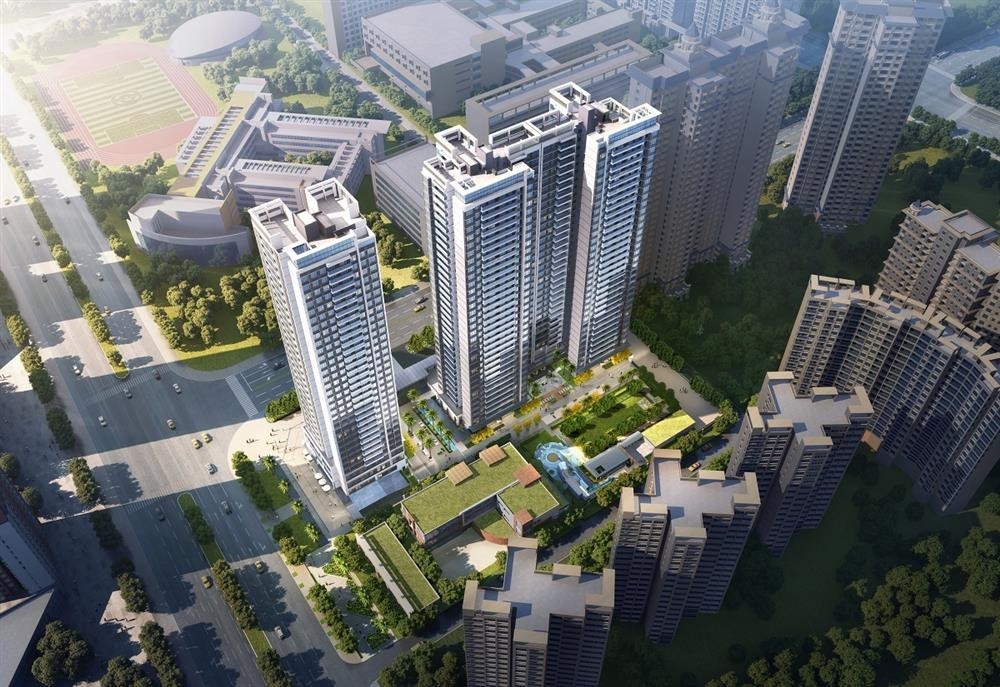 1774505095953156.jpg 1774505095953156.jpg