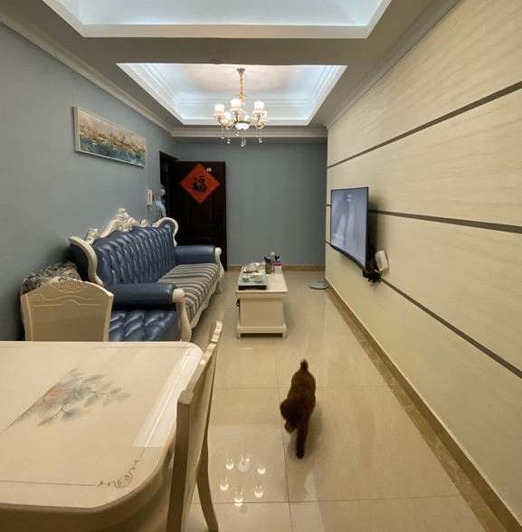 西鄉(xiāng)小產權房