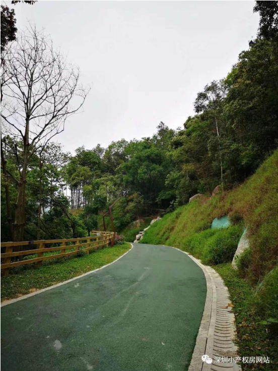 56.8萬(wàn)入手龍華山水綠園村委統(tǒng)建樓，還在等什么？