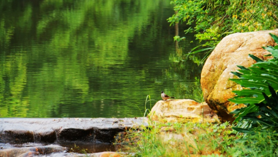 合郡領(lǐng)薈一房總價(jià)60萬(wàn)起