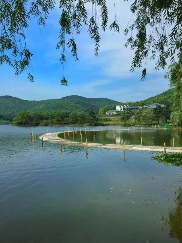 沒(méi)出省被浙江農(nóng)村自建房房主給截胡了