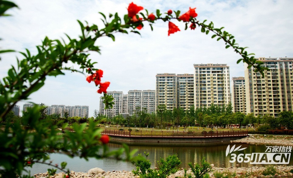 望湖城這幾個(gè)苑全是省直單位的集資房