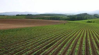 對(duì)于房屋沒有正規(guī)手續(xù)的居民表示無(wú)法接受