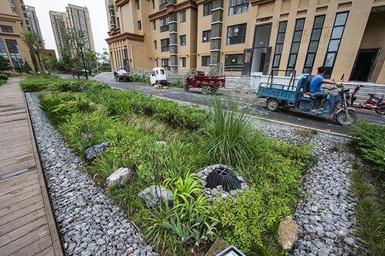 本項目作為建設海綿城市試點小區(qū)建設