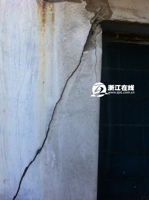 樹齡應(yīng)該比學校的歷史還長