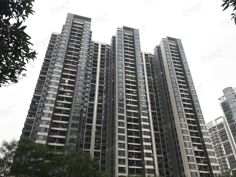 通過(guò)中介牽線和介入城中村舊改的開(kāi)發(fā)商